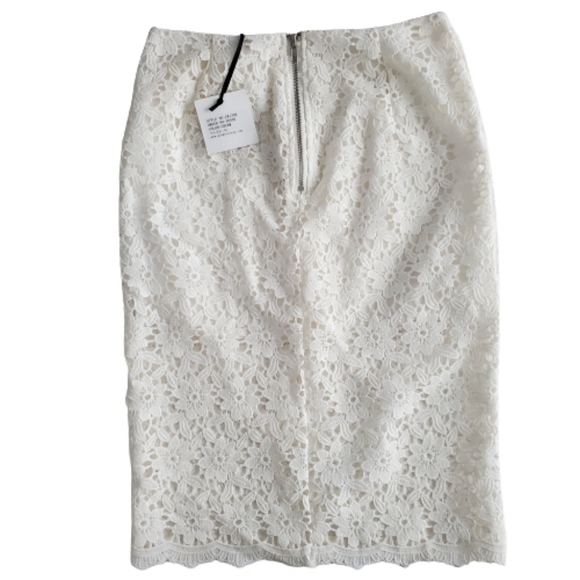 True Decadence Sheer Lace Pencil Skirt, US 6 - Picture 2 of 7